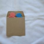 SAMPLE PACK of 20 kraft fla..