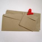 SAMPLE PACK of 20 kraft fla..