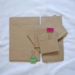 SAMPLE PACK of 20 kraft fla..