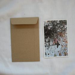 A6 set of 50 Brown Kraft envelopes size 4.5 inch X7 inch for photo envelope or postcard